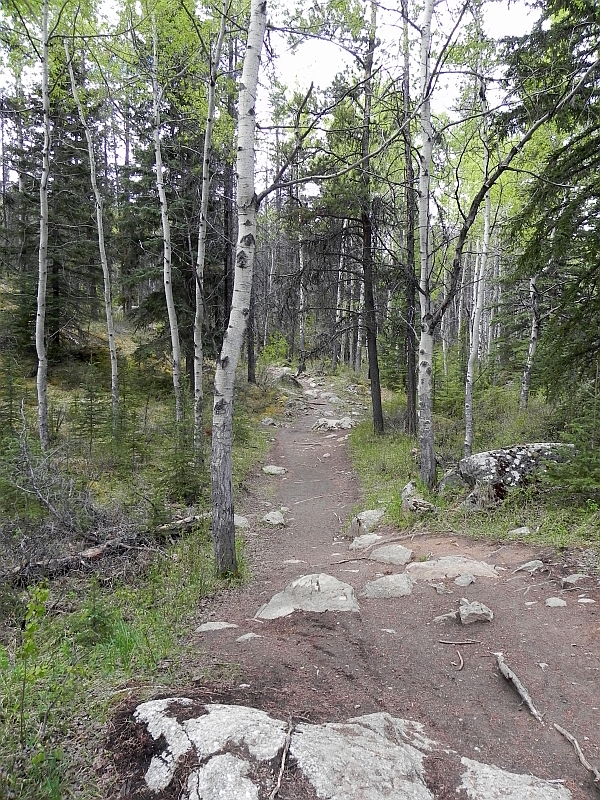 Trail