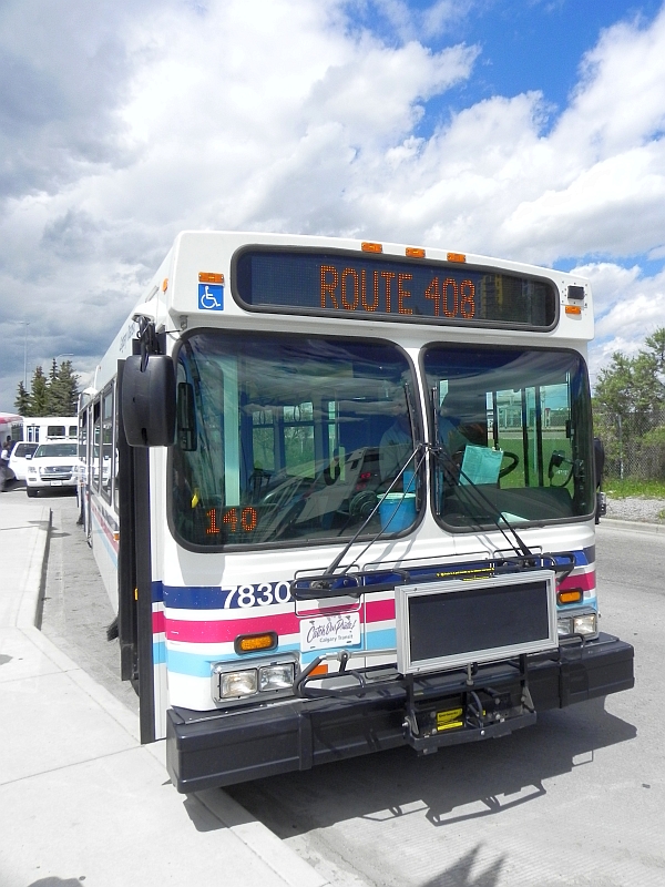 Calgary Bus